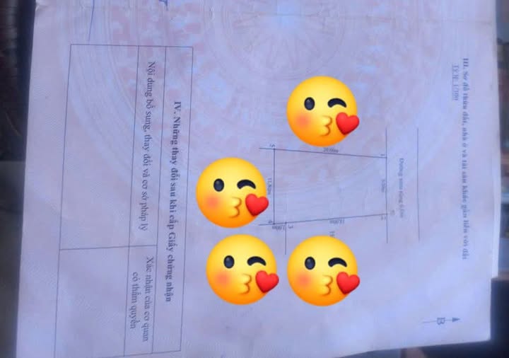 Đất thổ cư xã Tam Đa, Vĩnh Bảo 200m² - Đầu tư sinh lời lý tưởng!