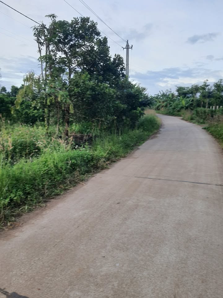 Đất nền mặt tiền đường bê tông 540m² thôn Đồng Tâm, giá chỉ 260 triệu - Cơ hội đầu tư tuyệt vời!