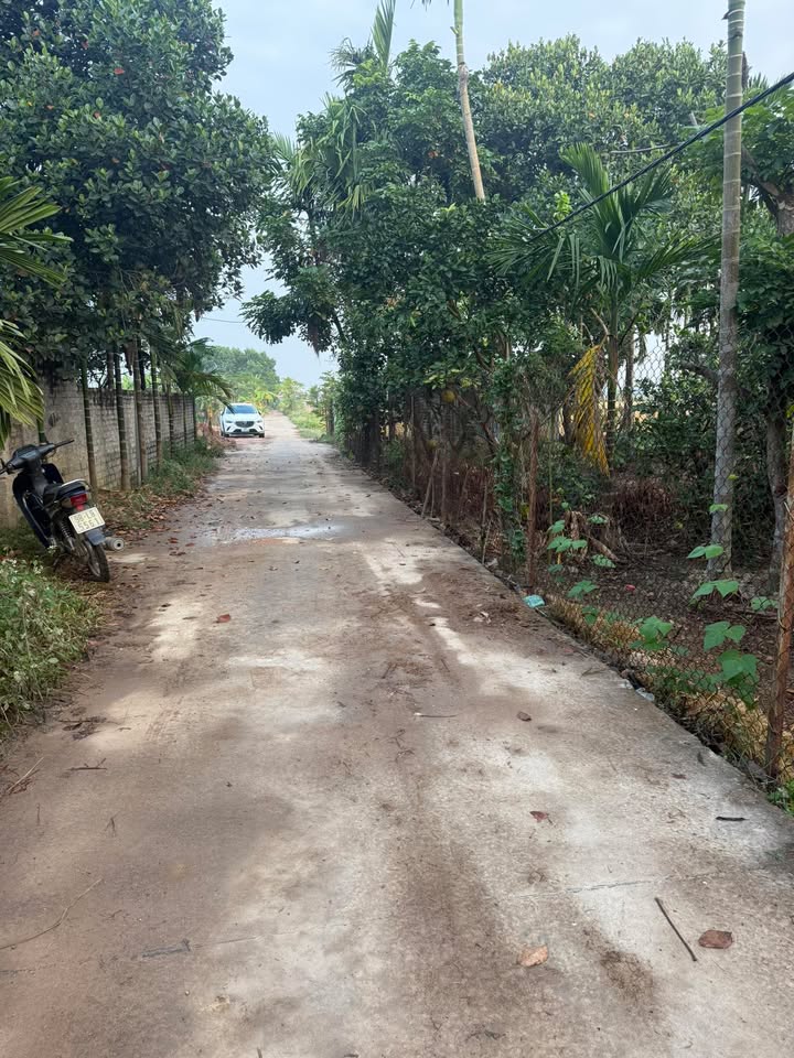 Đất nền Tân Tiến Bắc Giang 2000m² giá 1.1 tỷ - Pháp lý rõ ràng