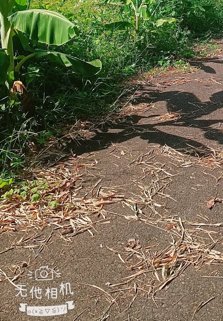 Đất đầu tư Suối Cát 828m² giá 3 tỷ - Cơ hội sinh lời hấp dẫn!