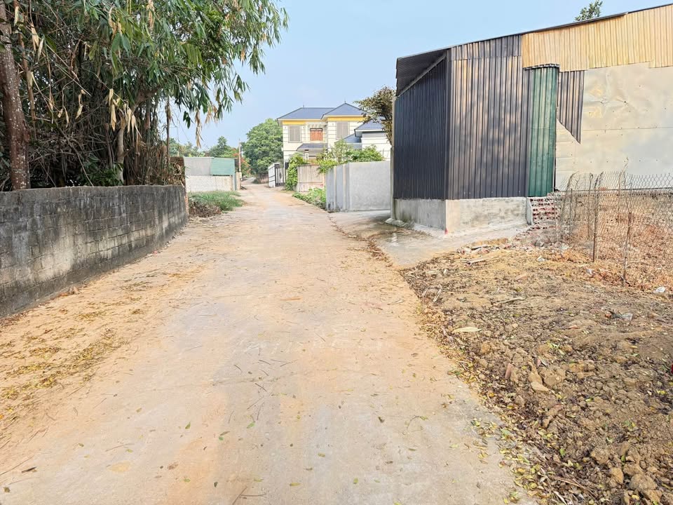 Đất nền Yên Sơn Hướng Đạo - Tam Dương 267m² giá 1.335 tỷ - Cơ hội đầu tư tuyệt vời!