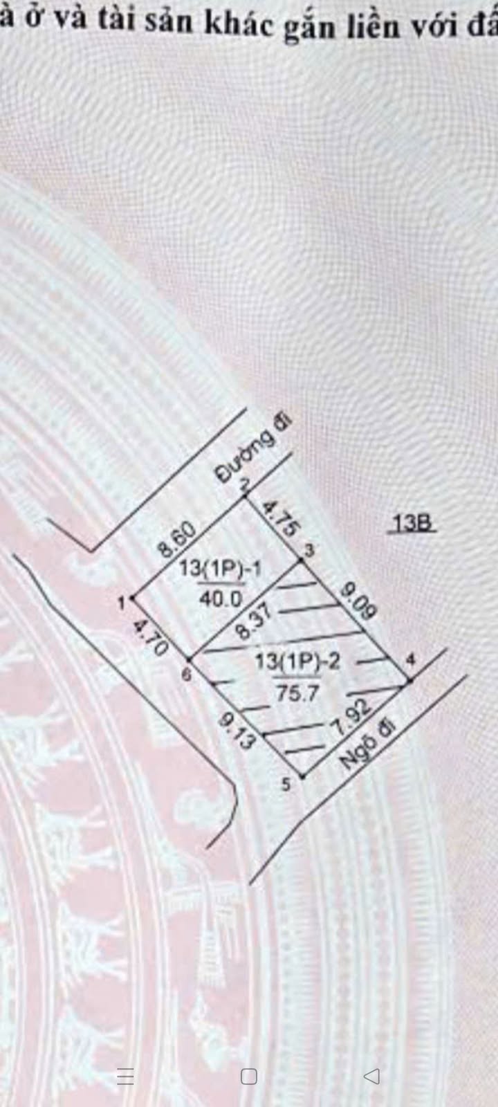 Đất nền Sơn Đồng Hoài Đức 40m² - Góc siêu đẹp, cơ hội đầu tư không thể bỏ qua!
