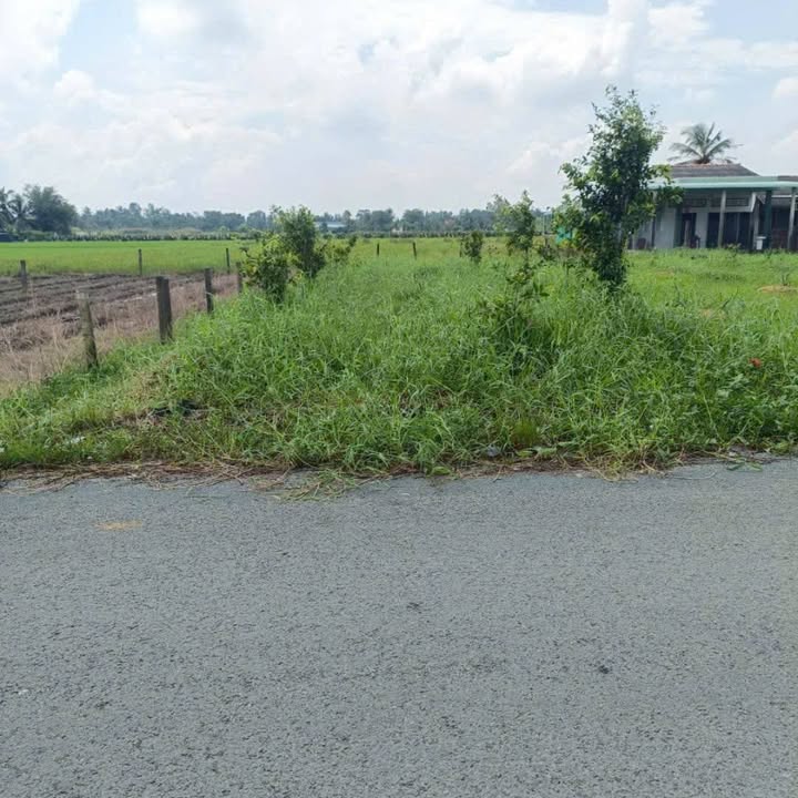 Đất nền thổ cư mặt tiền Nguyễn Văn Thanh 312m² giá 1.14 tỷ - Đầu tư sinh lời ngay!