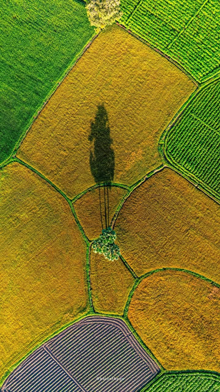 Đất nền đường D, phường Tân Bình, La Gi 105m² giá 1 tỷ - Gần biển chỉ 1.5km!