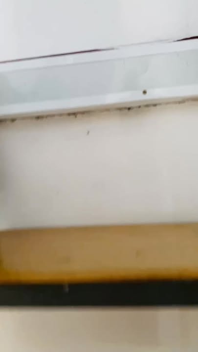 Nhà 2 mặt tiền hẻm Quang Trung, Bảo Lộc 57m² giá 1.99 tỷ - Sẵn sàng vào ở ngay!