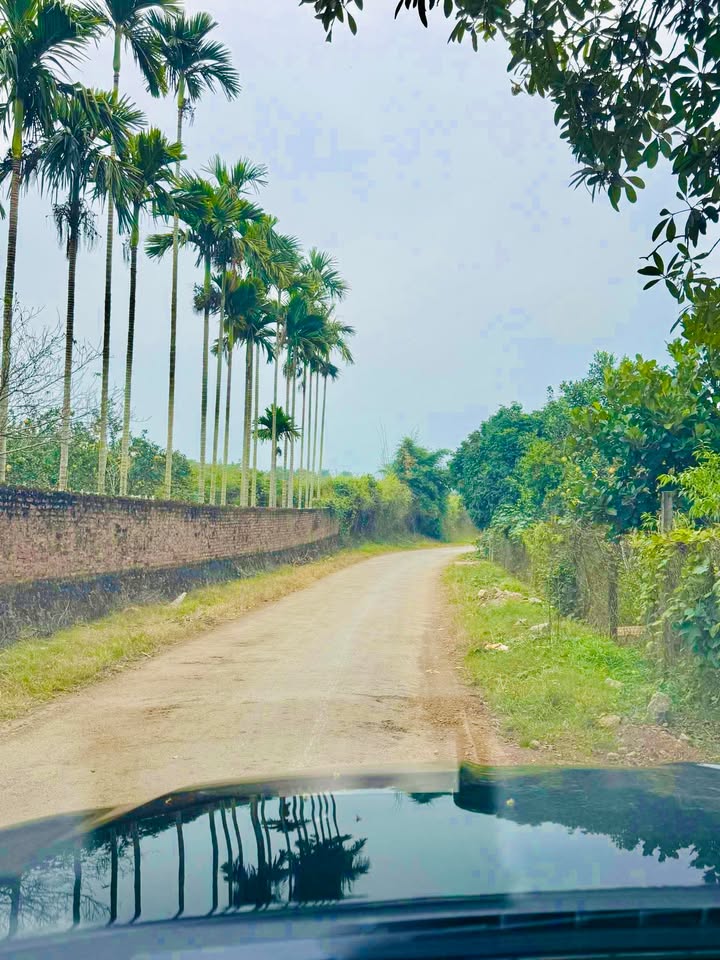 Đất nền Yên Mông Hòa Bình 838m² - Mặt tiền 23m - Cơ hội đầu tư sinh lời!