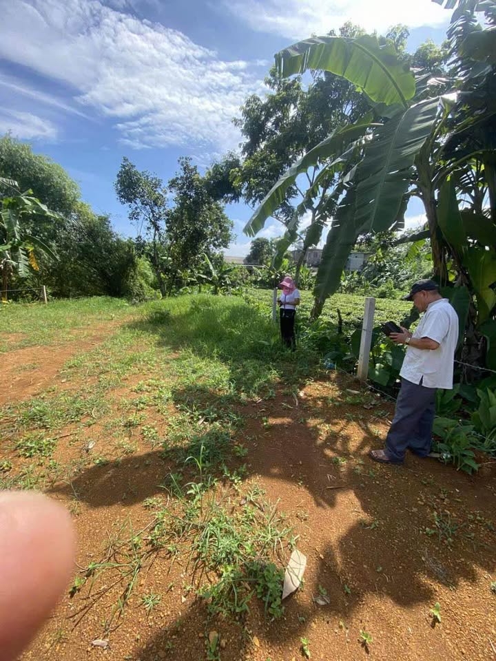 Đất thổ cư 125m² tại phường An Tường, Tuyên Quang - Chính chủ, giá tốt 900 triệu!