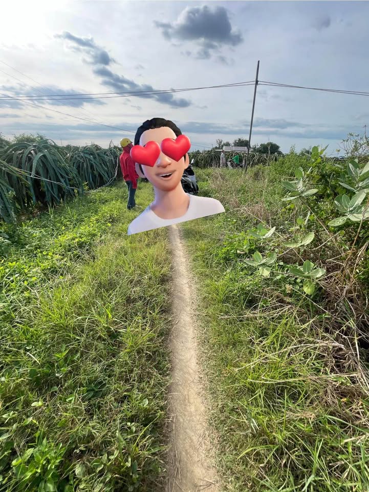 Đất nền 2.000m² tại Phú Nhang, Hàm Hiệp - Giá chỉ 1.8 tỷ - Cơ hội đầu tư lý tưởng!