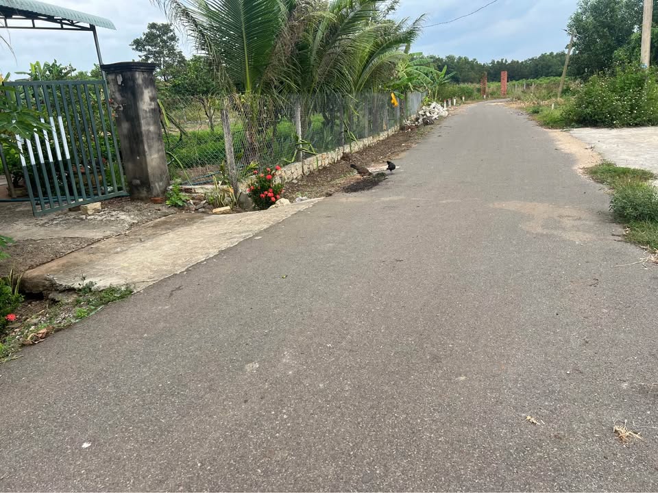 Đất Suối Nghệ Châu Đức 155m² chỉ 600 triệu - Đầu tư sinh lời ngay!