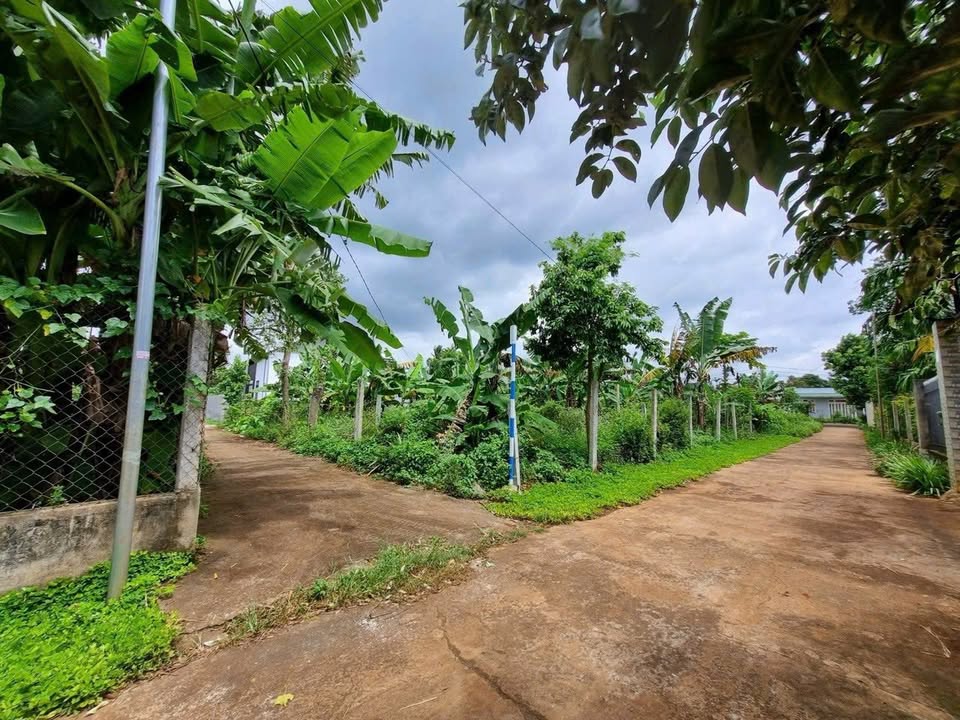 Đất nền hẻm Mậu Thân, xã Ea Tu, 120m² chỉ 899 triệu - Cơ hội đầu tư hấp dẫn!