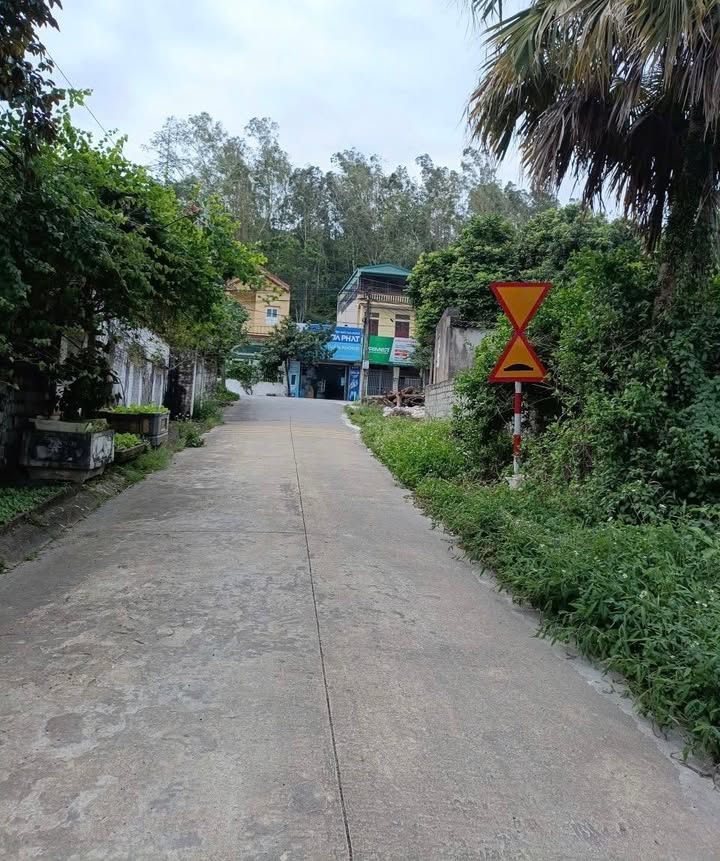 Đất nền Yên Sơn, Tam Điệp 124.88m² giá 11 tỷ - Cơ hội đầu tư hấp dẫn!