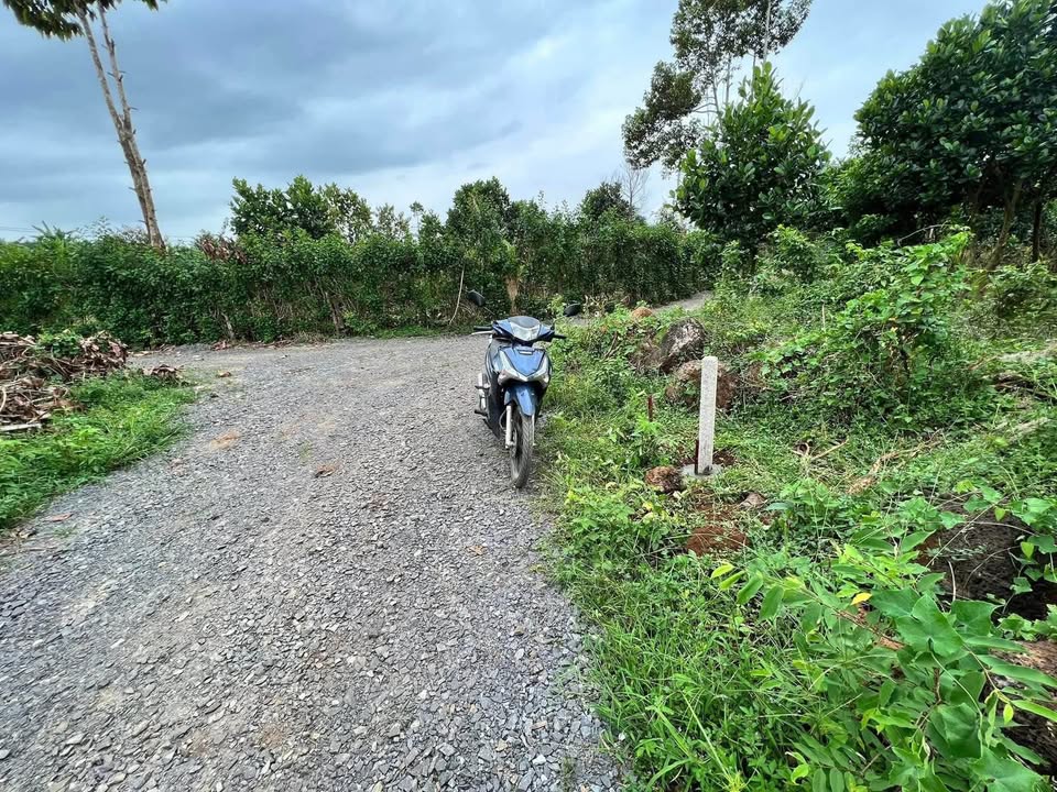 Đất thổ cư 125m² tại Phú Tân, Định Quán giá 180 triệu - Cơ hội vàng cho nhà đầu tư!