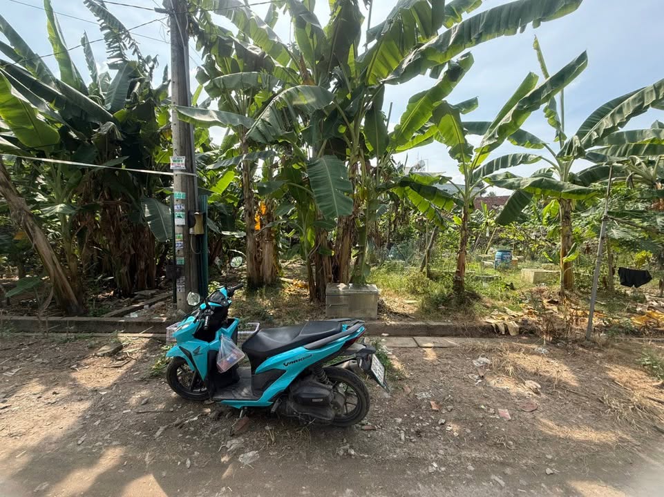 Đất nền Phước Thiền Nhơn Trạch 120m² giá chỉ 900 triệu - Sổ chung, gần ủy ban xã!