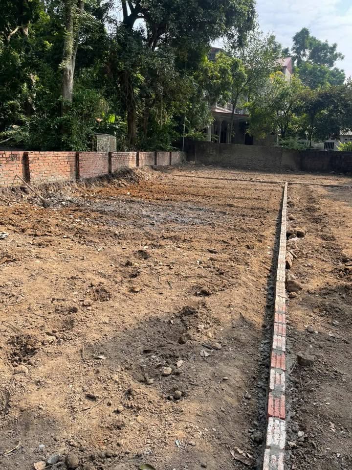 Đất thổ cư 100m² tại Đông Cứu - Giá chỉ 1.399 tỷ, sổ đỏ chính chủ!