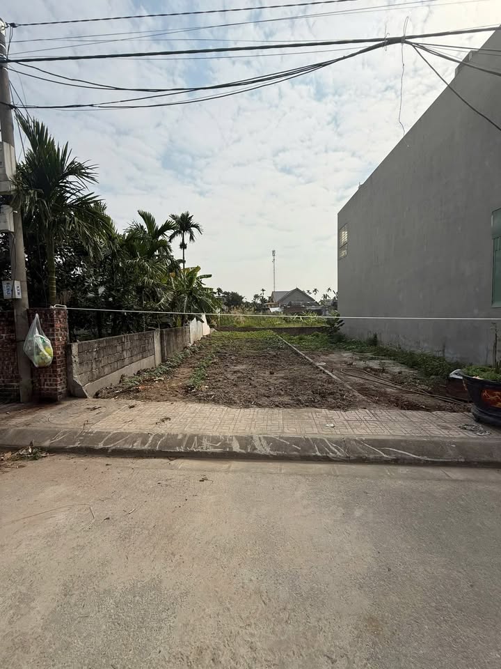 Đất mặt tiền 5m tại Lai Hạ - Tân Dân - An Lão 80m² giá 1.3 tỷ - Cơ hội đầu tư tuyệt vời!