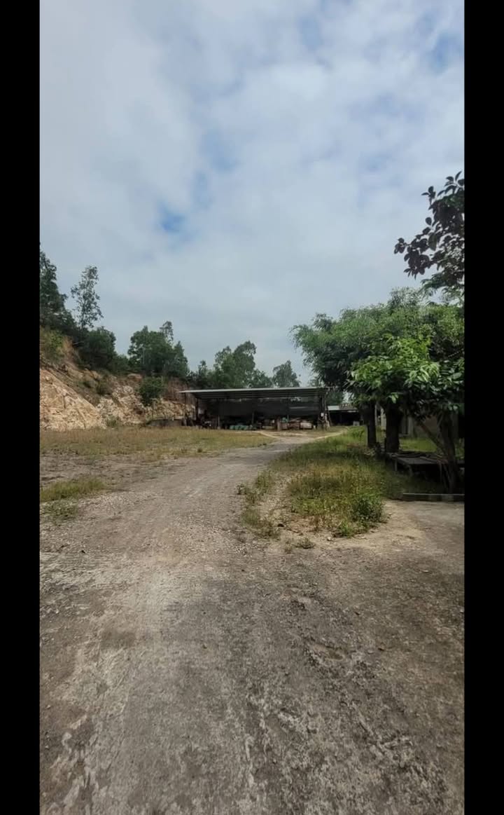 Cho thuê nhà xưởng 3000m² tại Nhơn Phú - Giá chỉ 20 triệu/tháng