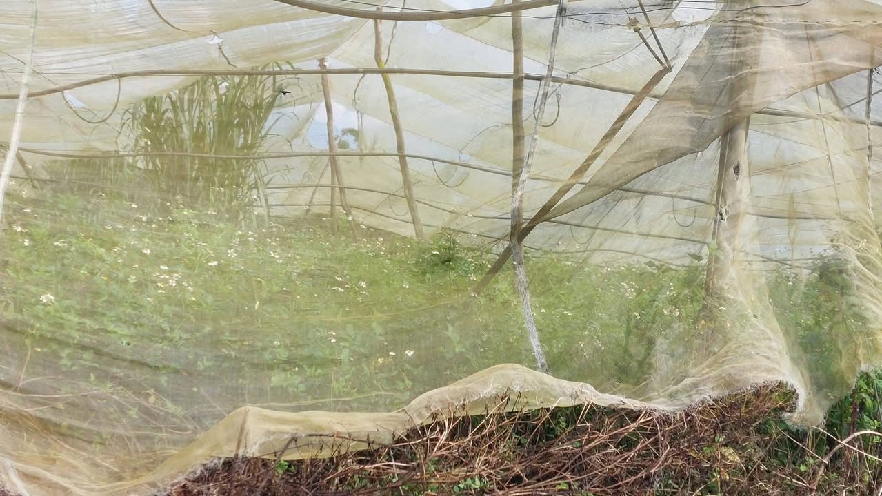 Đất nền Quảng Lập 3443m² giá 499.9 triệu - Sổ hồng chính chủ, pháp lý rõ ràng!