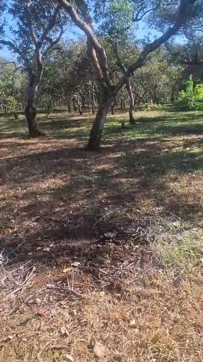 Đất nền 1ha mặt tiền lớn tại Bù Đăng, giá 1 tỷ - Cơ hội đầu tư hấp dẫn!