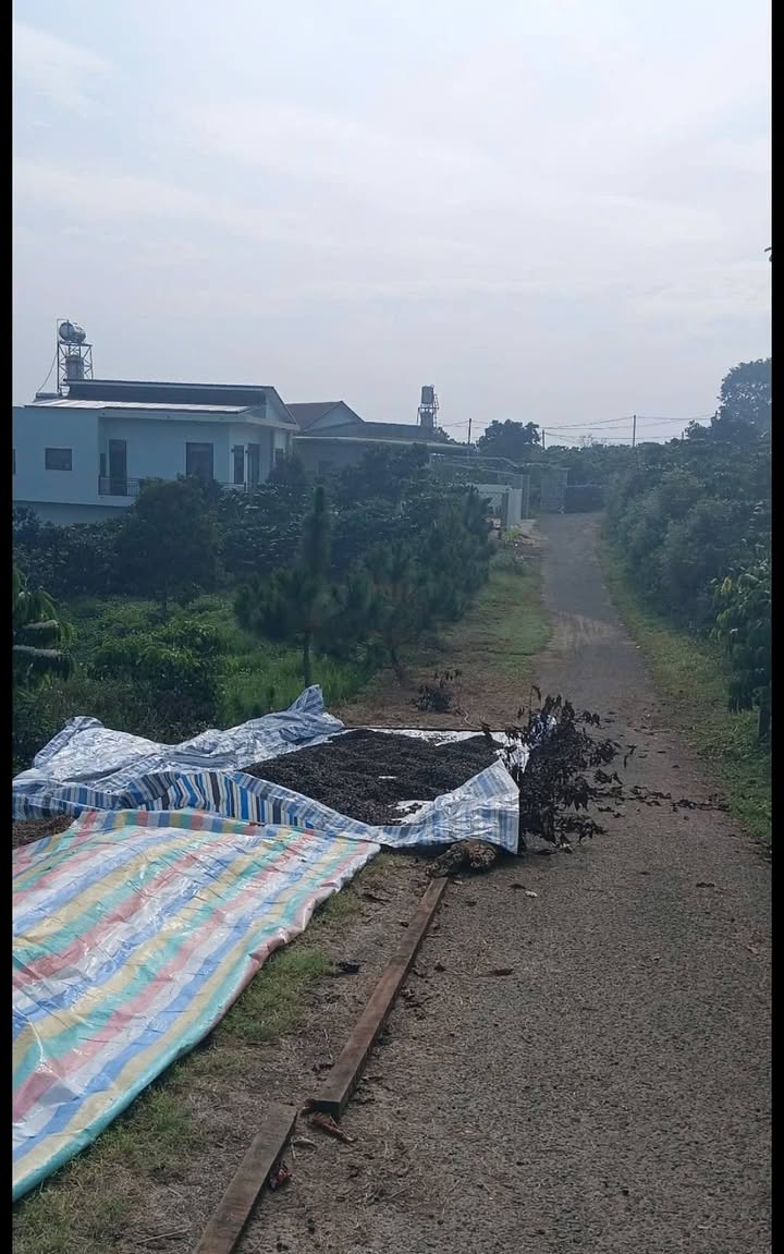 Đất vườn thổ cư Lộc Thành 570m² giá 1.15 tỷ - Đường ô tô vào tận nơi!