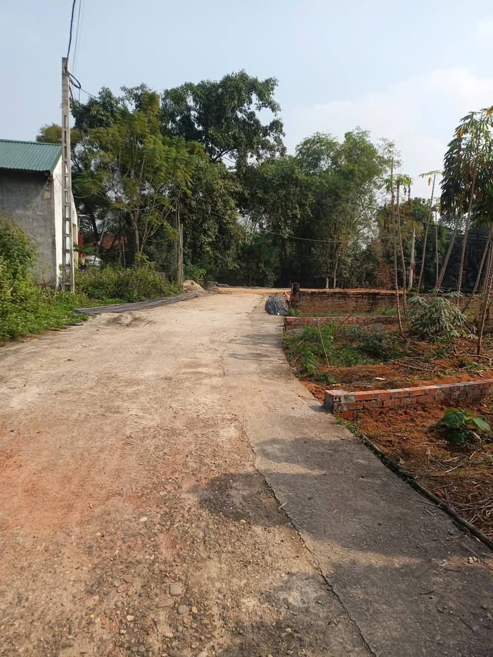 Đất thổ cư 97m² tại khu 6 Chu Hóa Việt Trì - Giá chỉ 960 triệu, vị trí đẹp tiềm năng!