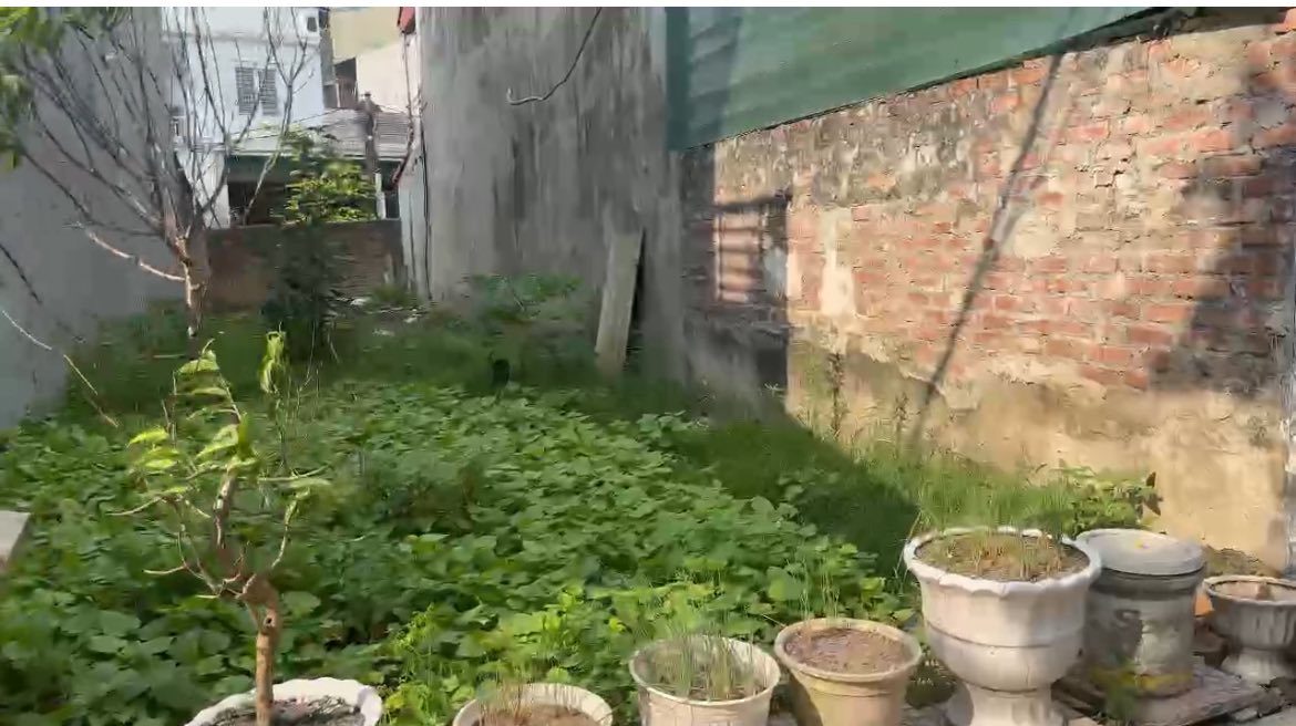 Đất nền Tân Dân, Việt Trì 99m² giá 4.5 tỷ - Vị trí đắc địa, tiện ích đầy đủ!