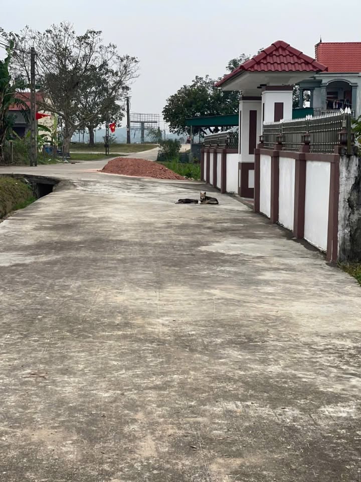 Đất nền Tân Hợp, Nghĩa Đàn 175m² giá 5 triệu - Cơ hội đầu tư tuyệt vời!