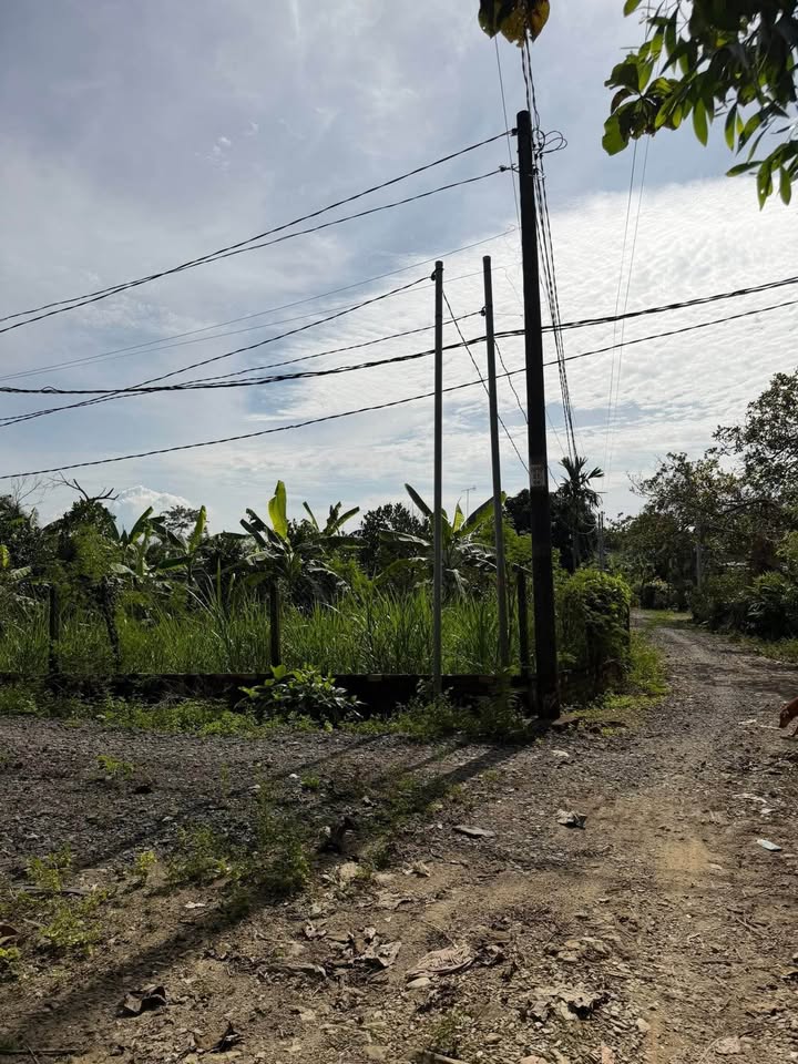 Đất farm 7.000m² tại Phú Thịnh, Tân Phú giá 2.999 tỷ - Cơ hội đầu tư tuyệt vời!