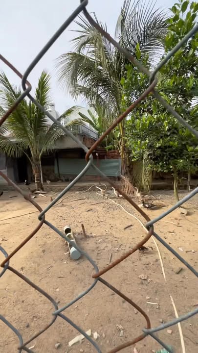 Đất vườn Biên Hòa 748m² - Vị trí hiếm, pháp lý rõ ràng!