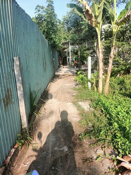 Đất nền Song Thuận Châu Thành 90m² giá 300 triệu - Cơ hội đầu tư hấp dẫn!