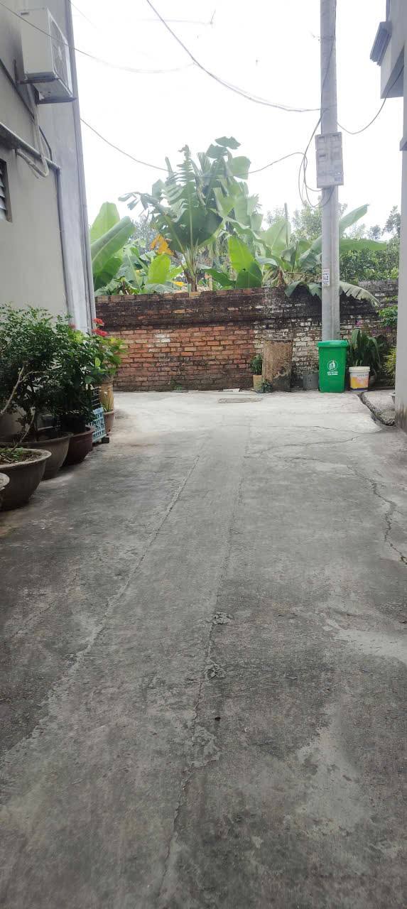 Đất thổ cư 50m² tại Tân Trại, Phú Cường - Mặt tiền 4m, ô tô vào tận nơi!