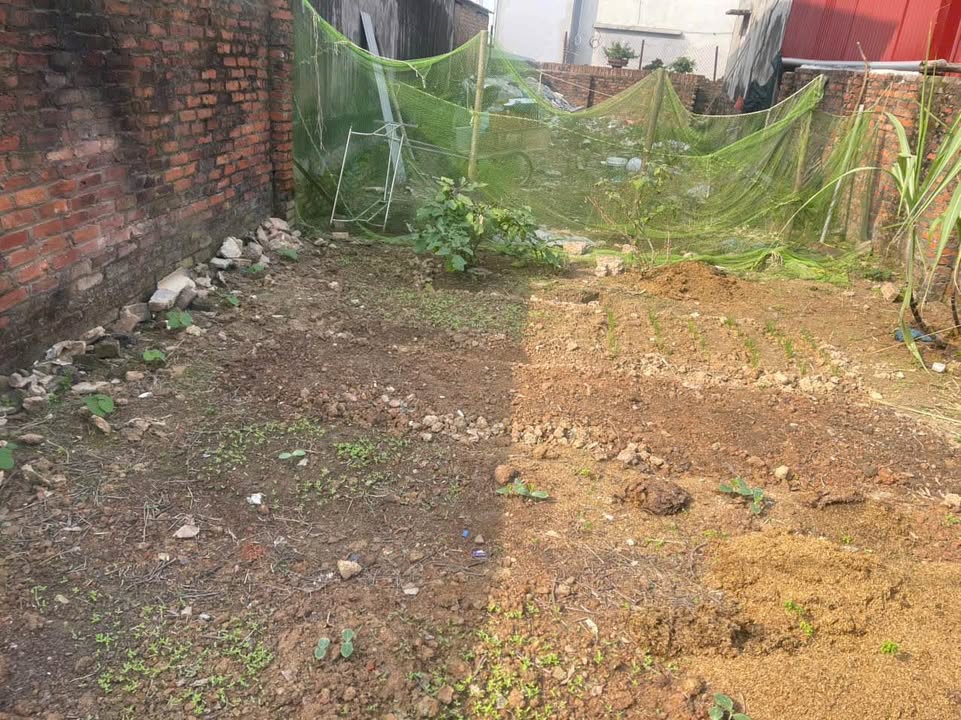 Đất nền Quang Tiến Sóc Sơn 122.5m² giá chỉ 3 triệu/m² - Sổ đỏ chính chủ!