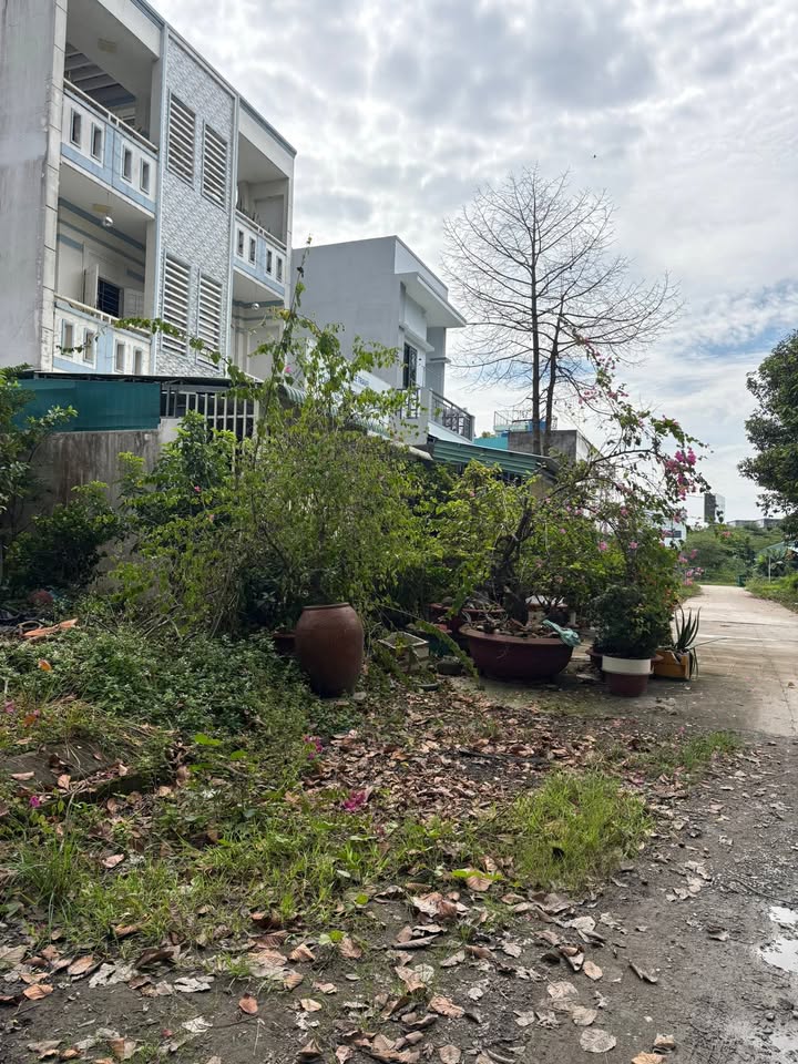 Đất nền 80m² đường số 9, KDC 135 Bến Lức chỉ 2.1 tỷ - Sổ hồng riêng, sang tên nhanh chóng!