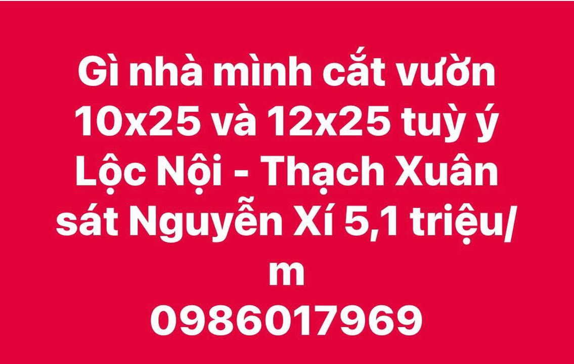 Đất nền Thạch Xuân 250m² giá 1.275 tỷ - Đầu tư sinh lời ngay!