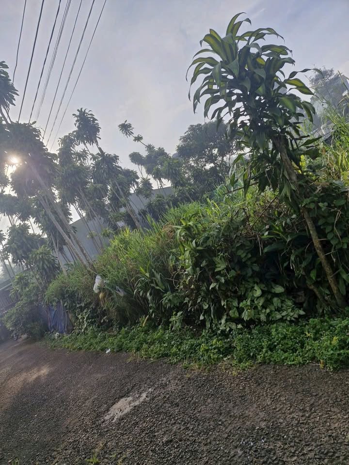 Đất Hẻm 68 Hà Giang, Bảo Lộc 262m² giá chỉ 1.65 tỷ - Cơ hội đầu tư tuyệt vời!