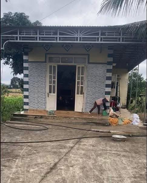 Đất nền đầu tư tại thôn Tân Ninh, Đắk Nông - Giá chỉ 35 triệu/m² - Cơ hội sinh lời cao!