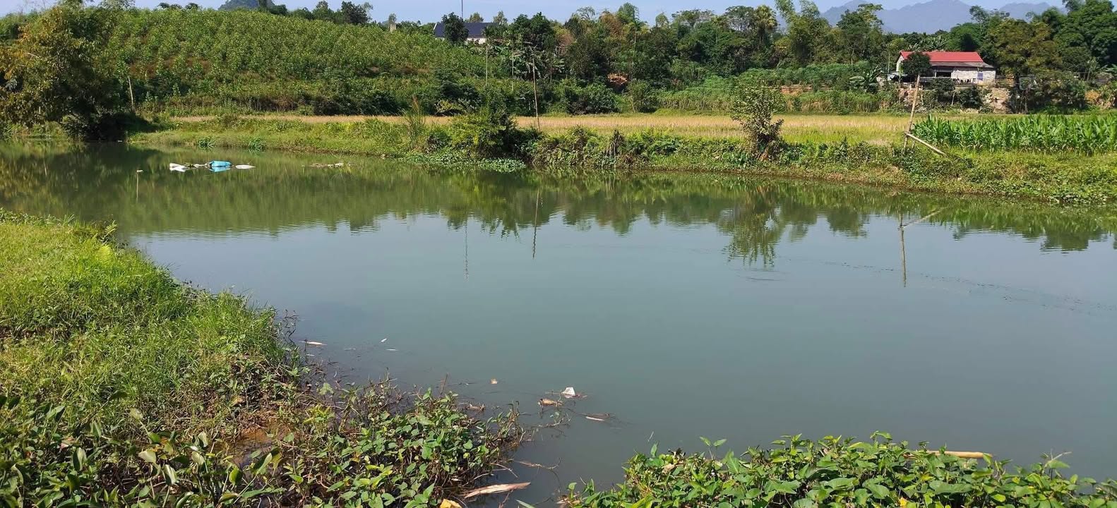 Đất nghỉ dưỡng xã Hương Cần, Phú Thọ 6500m² chỉ 2 tỷ - Tiềm năng sinh lời lớn!