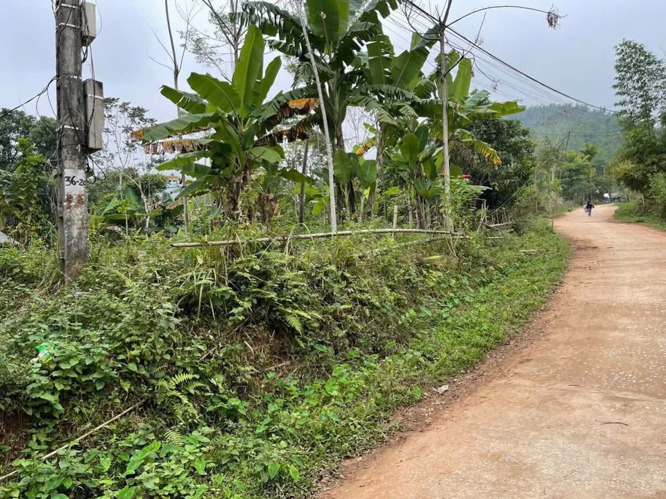 Đất nghỉ dưỡng 351m² tại Cun Pheo, Mai Châu - Giá chỉ 2xx triệu, đầu tư sinh lời!