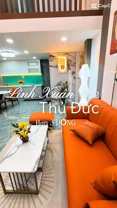 Nhà 2 tầng mới hẻm xe hơi Linh Xuân Thủ Đức 40m² giá 3.9 tỷ - Đừng bỏ lỡ!