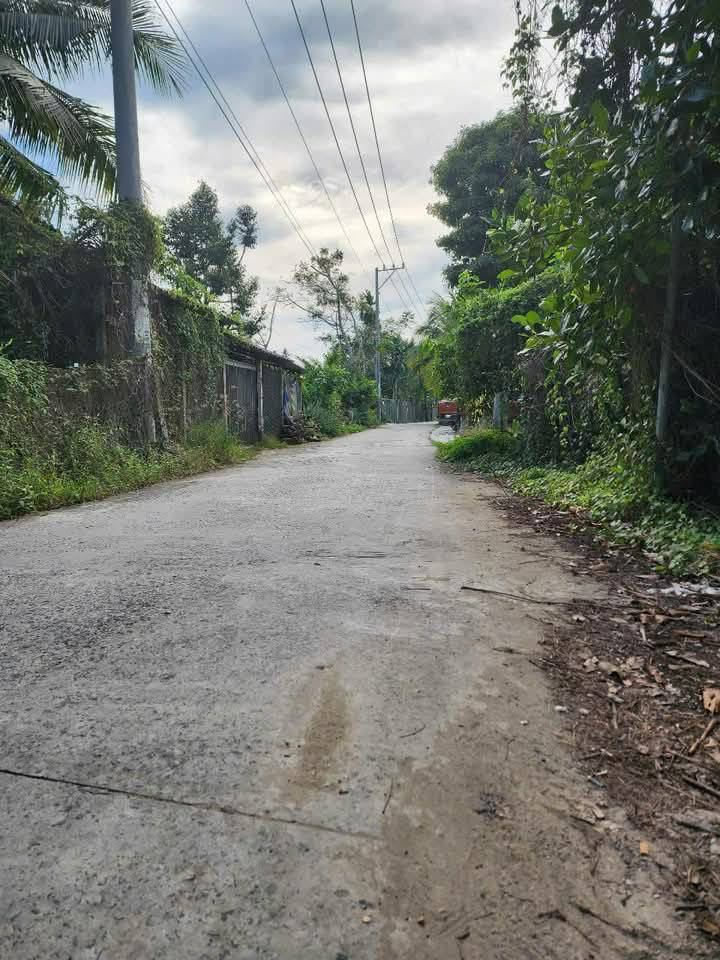 Đất nền Trường Long, Phong Điền, Cần Thơ 91m² giá 600 triệu - Sổ đỏ chính chủ, lộ ô tô vi vu!
