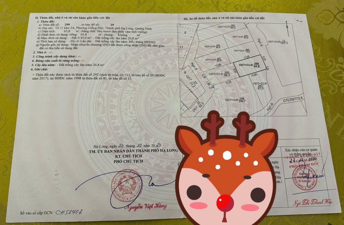 Đất đẹp tại khu phố 11, phường Giếng Đáy, Hạ Long 65.8m² - Sổ đỏ trao tay!