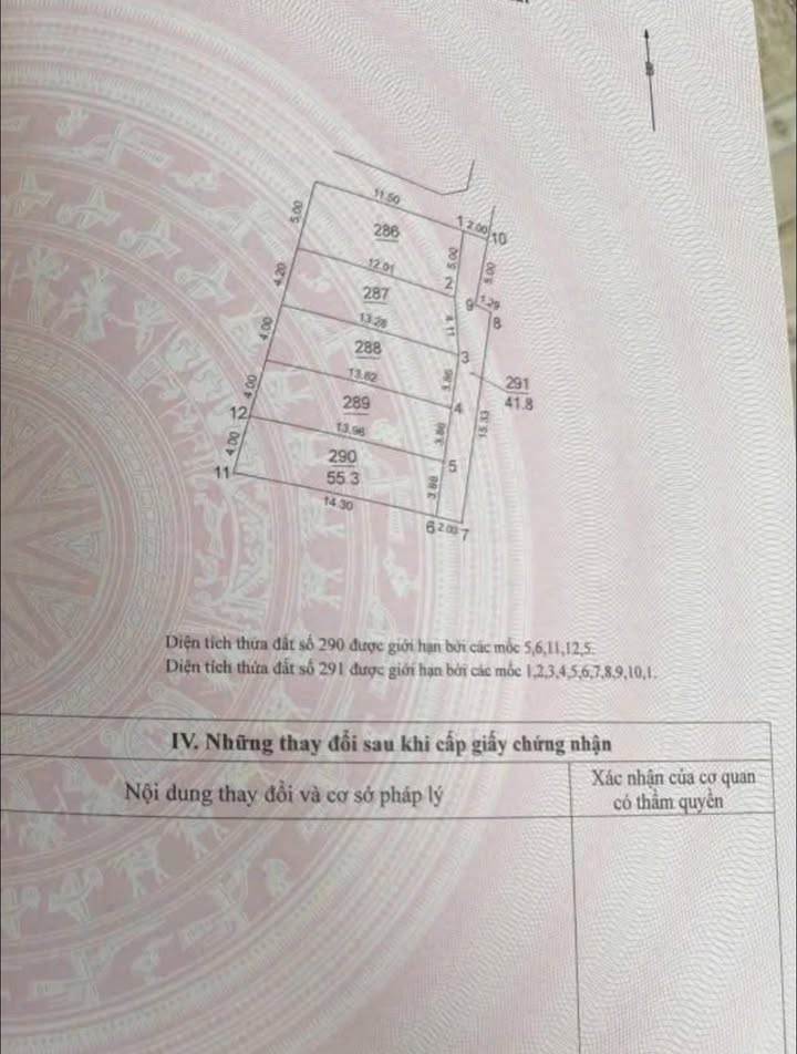 Đất nền Bắc Hồng 55.3m² giá chỉ 2.9 tỷ - Cơ hội đầu tư hiếm có!