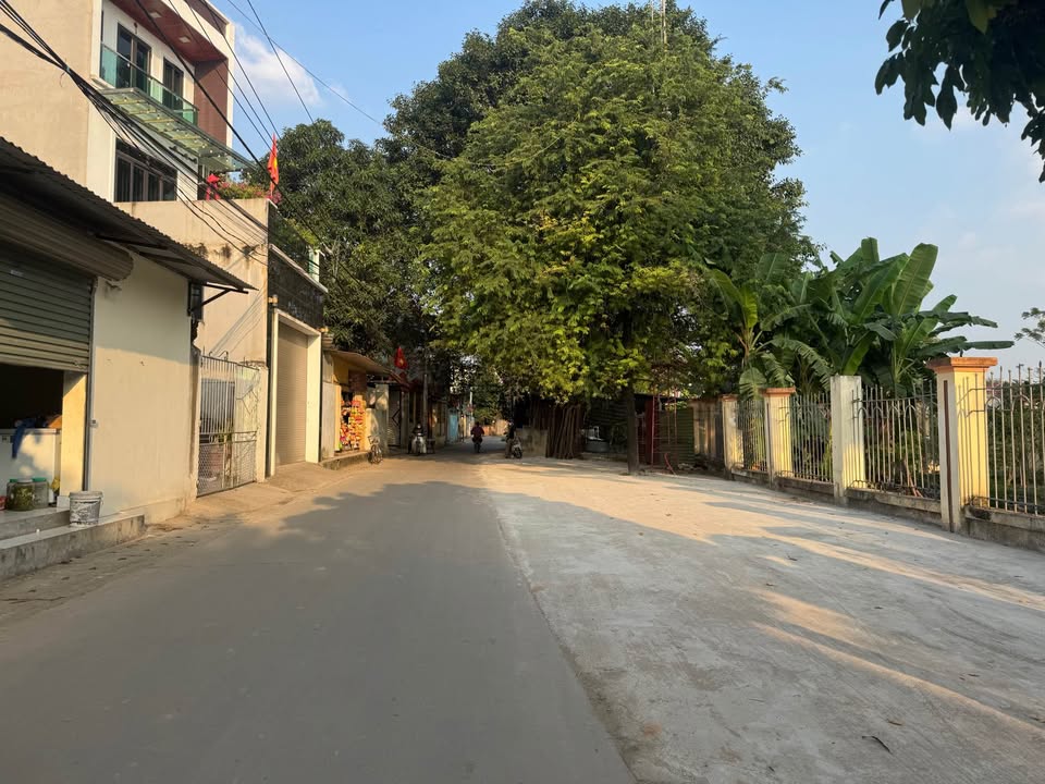 Nhà 2 tầng Cư An, Tam Đồng, 148m² - Khuôn viên rộng rãi thoáng mát!