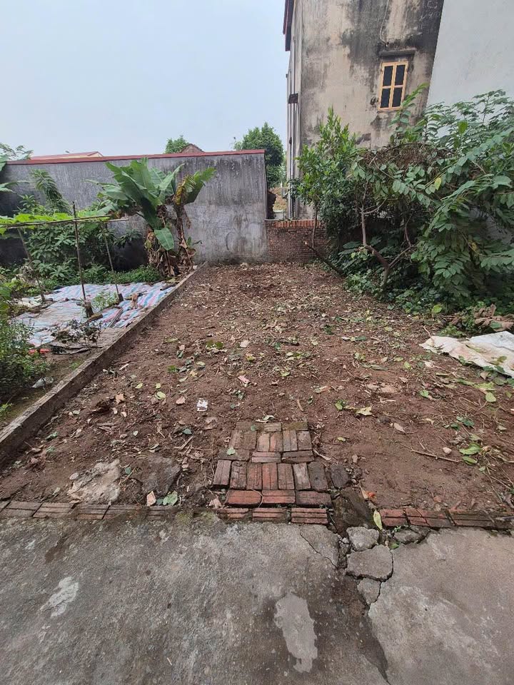 Đất nền Phúc Lợi, Long Biên 41m² giá 5.4 tỷ - Đầu tư sinh lời ngay!