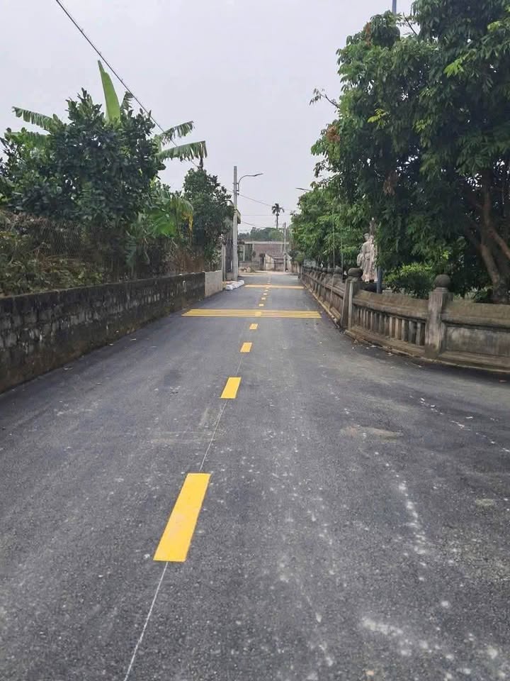 Đất đấu giá Đa Bồ Đạo, Bình Mỹ, 129m² giá 900 triệu - Cơ hội đầu tư tuyệt vời!