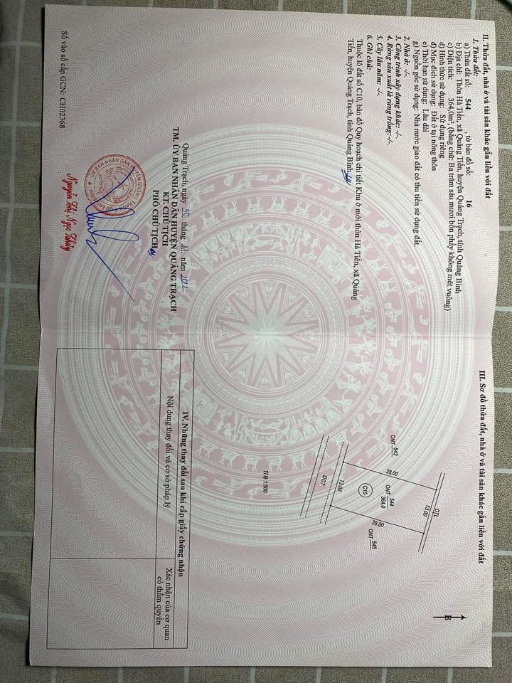 Đất đấu giá Hà Tiến Quảng Tiến 364m² giá 700 triệu - Hướng nam đẹp, đầu tư sinh lời!