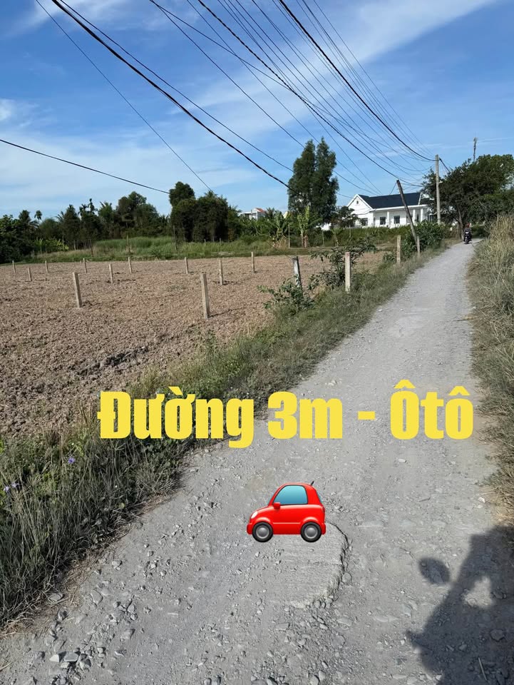 Đất nền Bến Lức 1.045m² giá 4 tỷ - Ô tô vào tận đất, thích hợp nhà vườn!