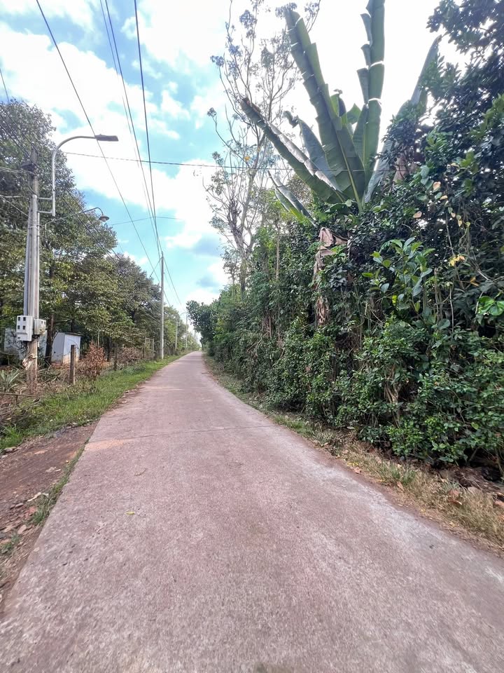 Đất nền Bảo Vinh, Long Khánh 6660m² giá 5 tỷ - Sổ riêng, tiện ích đầy đủ!