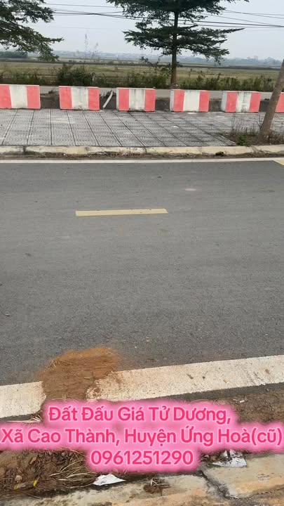 Đất đấu giá Thôn Tử Dương, xã Cao Thành, 114m² - Tiềm năng đầu tư vượt trội!