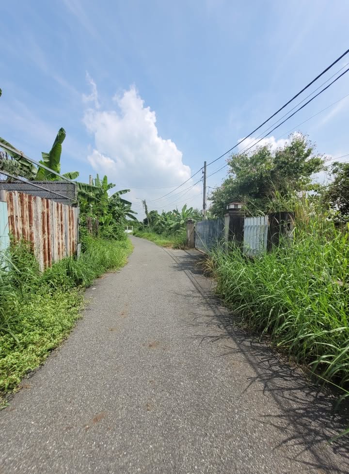 Đất mặt tiền đường Tân Thạnh Tây, Củ Chi 125m² - Giá cực tốt chỉ 1.89 tỷ!