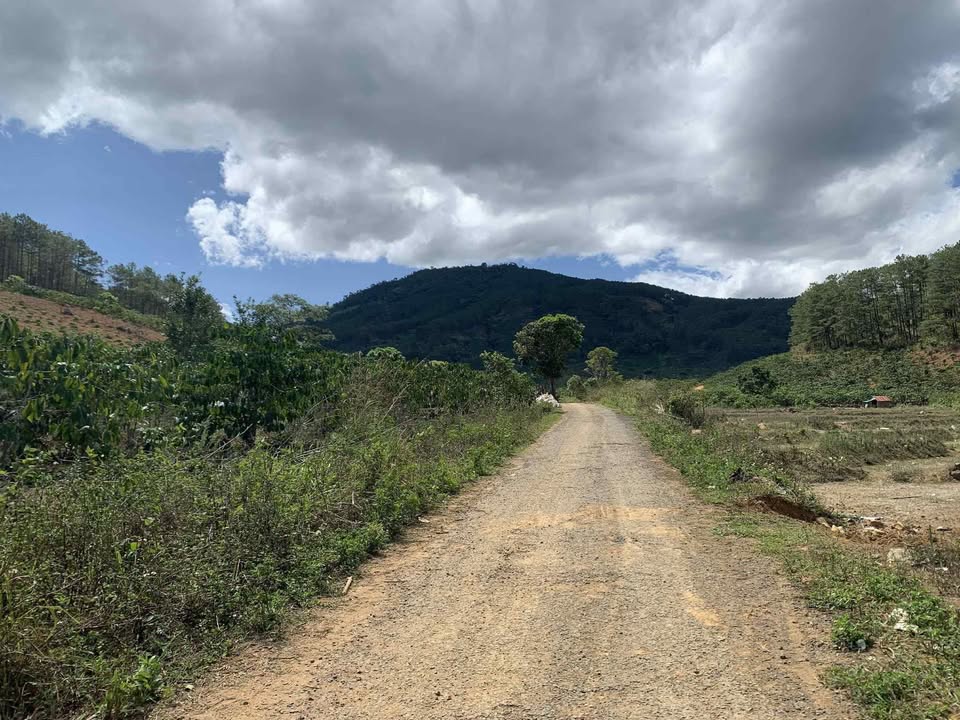 Đất mặt đường nhựa Gung Ré, Di Linh 5600m² giá 2.3 tỷ - Cơ hội đầu tư tuyệt vời!